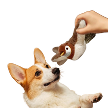 Charger l'image dans la galerie, Oiseau interactif